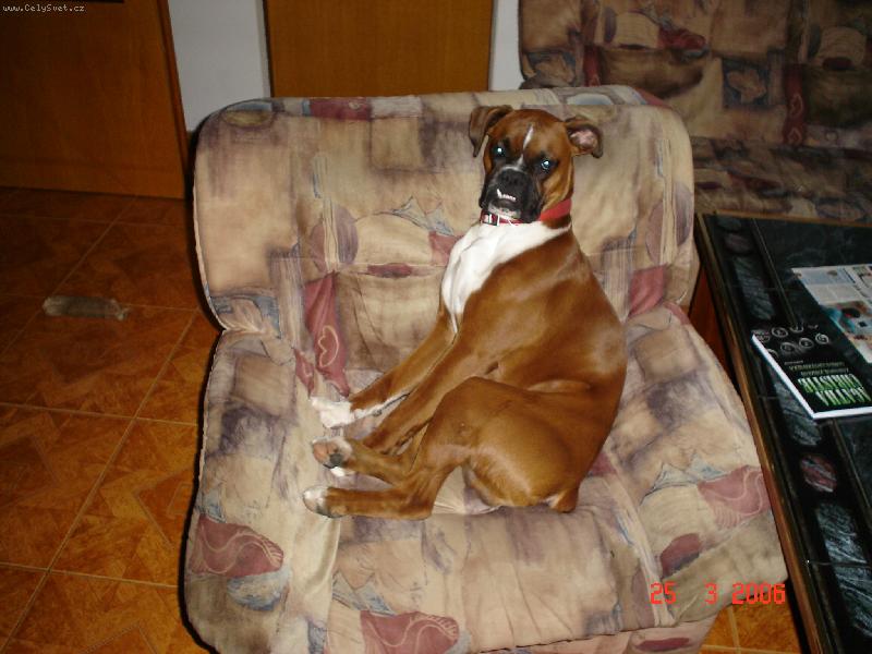 Foto: Bax�k-To je ale posezen��ko =-)