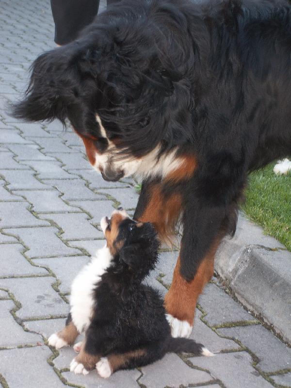 Foto: Velkej br�cha