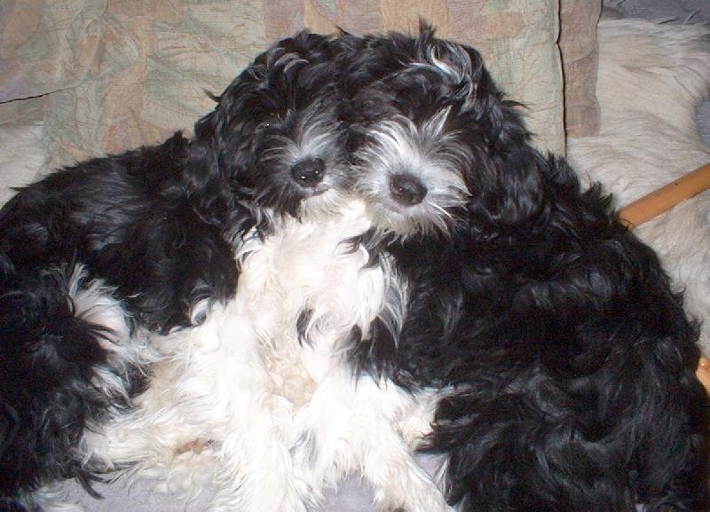 Foto: je nam spolu dobre-dvojcata