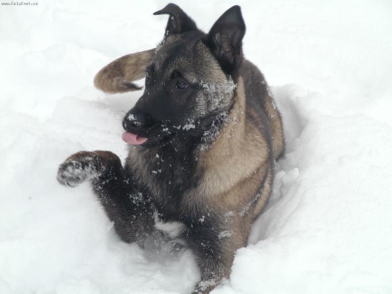 Foto: Poj� si hr�t