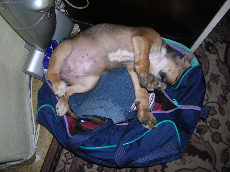 Foto: Aby jste m� tady n�hodou nezapom�li! jistota je jistota