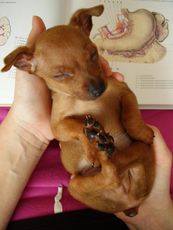 Foto: Ted�k-to jsem byl malinkej...