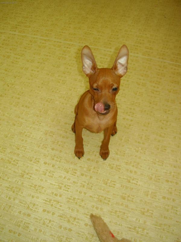 Foto: Ted-m�am, to byla dobrota???