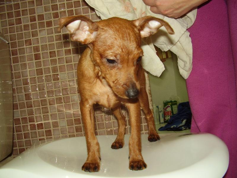 Foto: Ted-takhle vypad�m po koupeli :o)