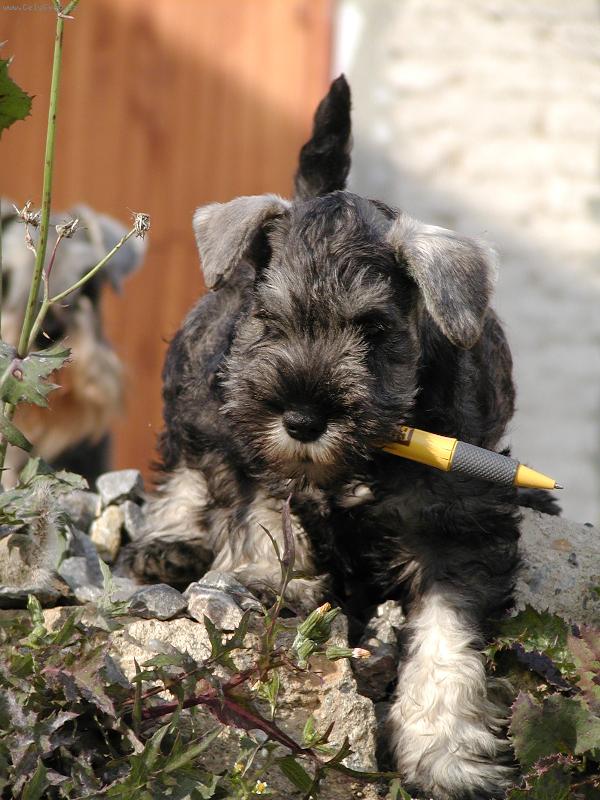 Foto: Moment,jen si to zap�u