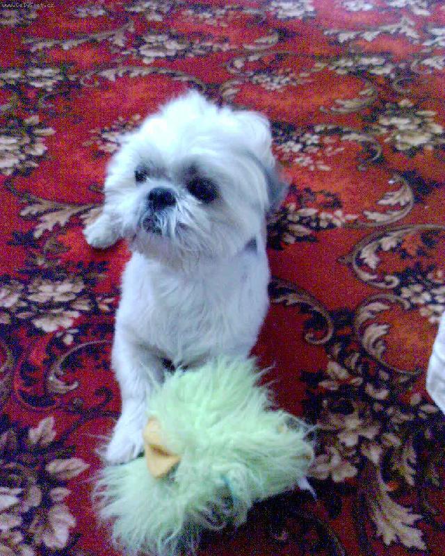 Foto: Na�e miminko Ed�nek