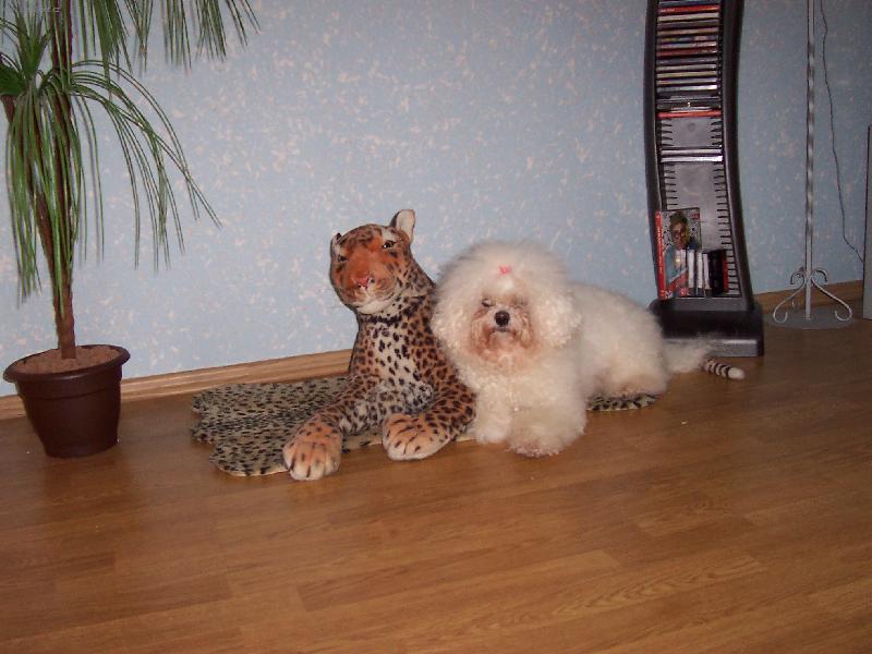 Foto: Bi�onkek Amynka-Tak schv�ln�... kdo z n�s je ply��k?