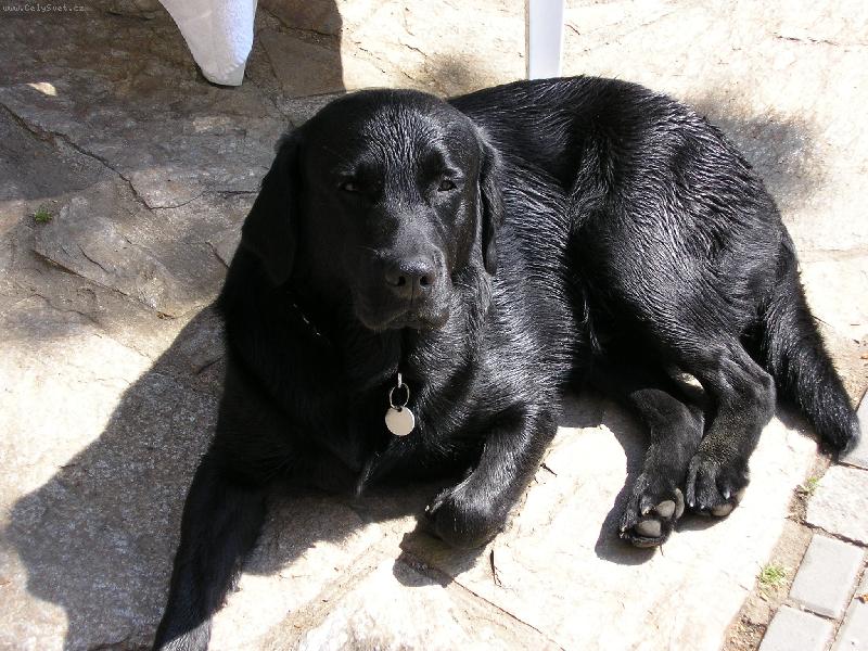 Foto: Pesan-M�j ra�af�k