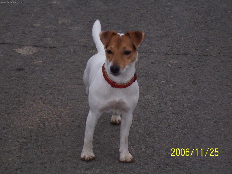 Foto: Fattynka-Fattynka ve st�ehu!!!