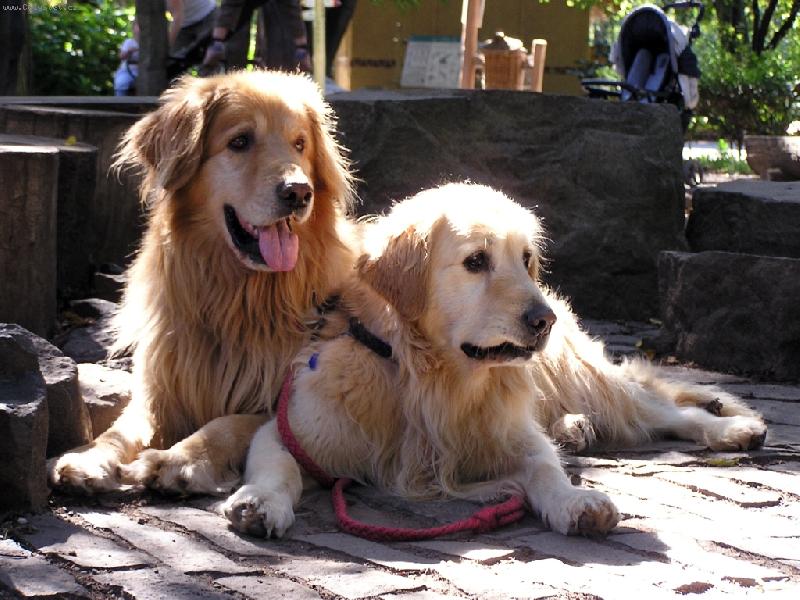 Foto: Br�kov�-Odpo�inek