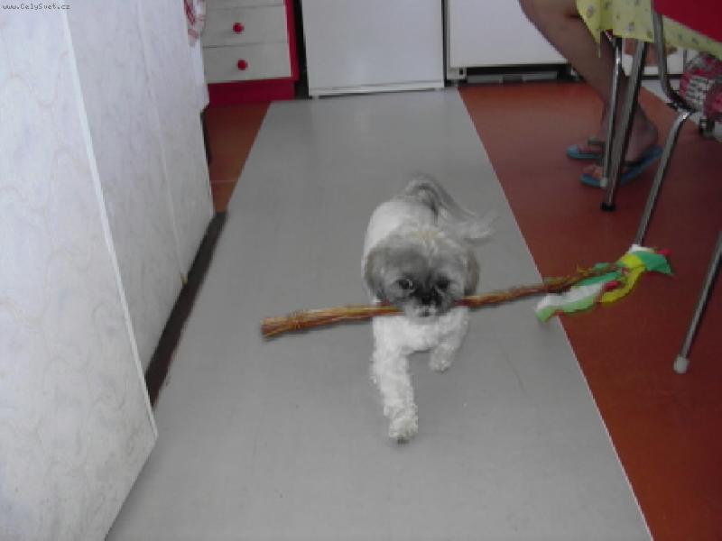 Foto: Velikonoce-Jdu si tak� zakoledovat