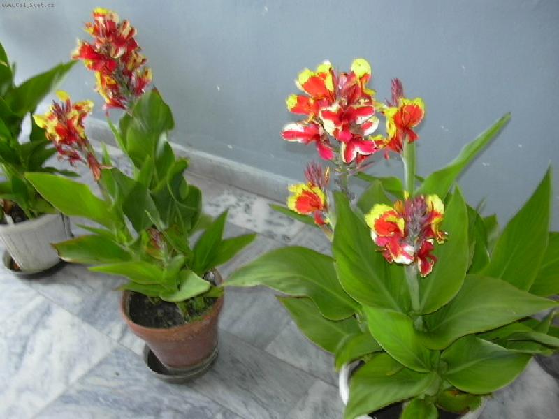 Foto: Kana-V�stava-Sta�kov