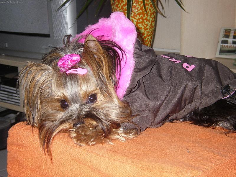 Foto: Na�e fotomodelka Eli�ka