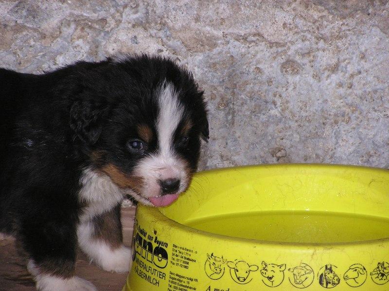 Foto: mllllllll !!!-To mamin�ino ml��ko je lep��,ne� ta voda.