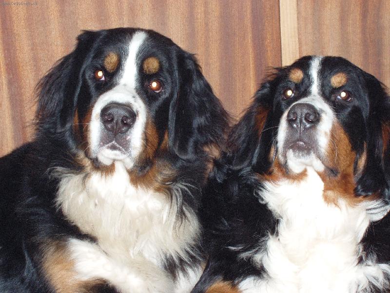 Foto: Na�e hol�i�ky