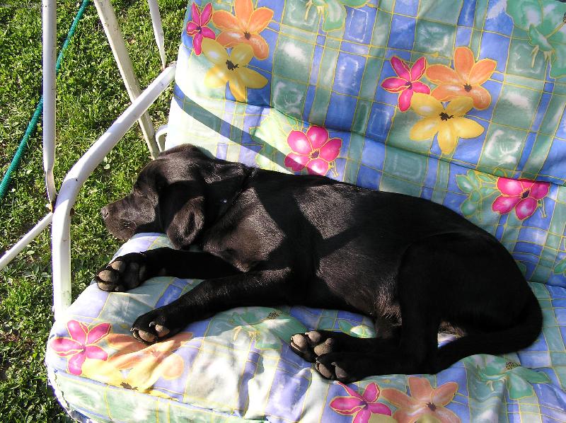 Foto: Adonk�v klid