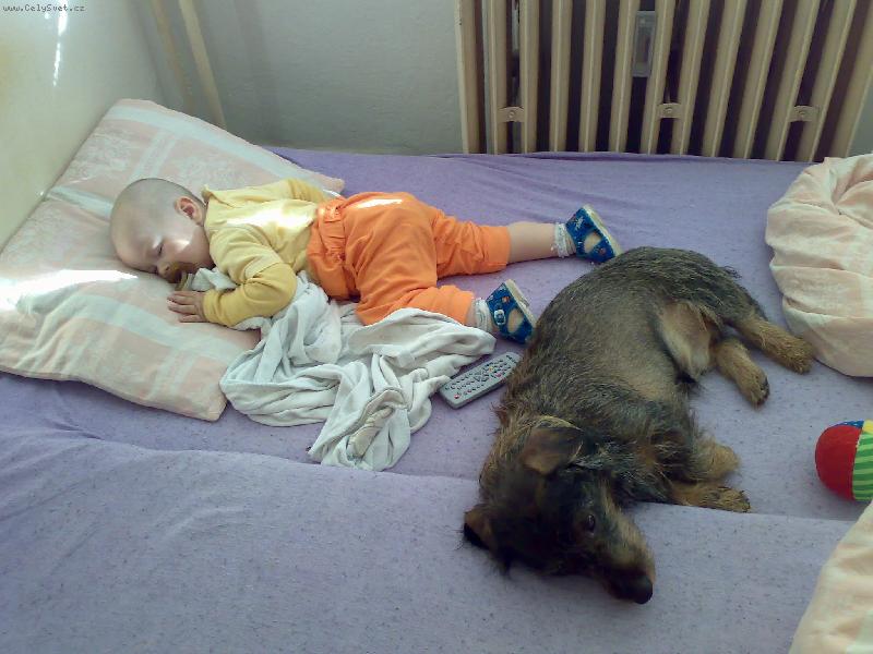 Foto: sladk� odpo�inek