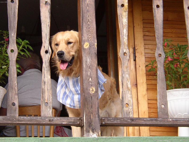 Foto: Kub��ek-Ven je�t� nem��u, nejsem po ob�d�