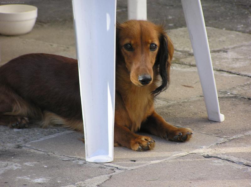 Foto: To je na�e Ketyna-Tady jsem kr�lovna j�....: )