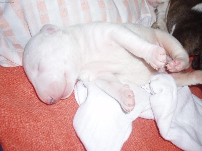 Foto: Tak jsem se p�ed chvilkou narodil