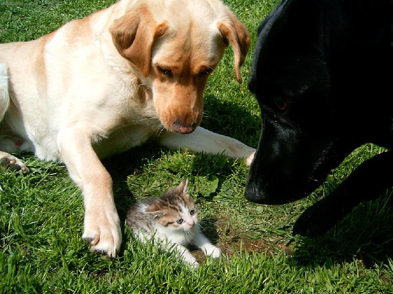 Foto: Potomek-... ale jo, je to Tv�j syn, ... no v�n� ... NEKEC�M!!!