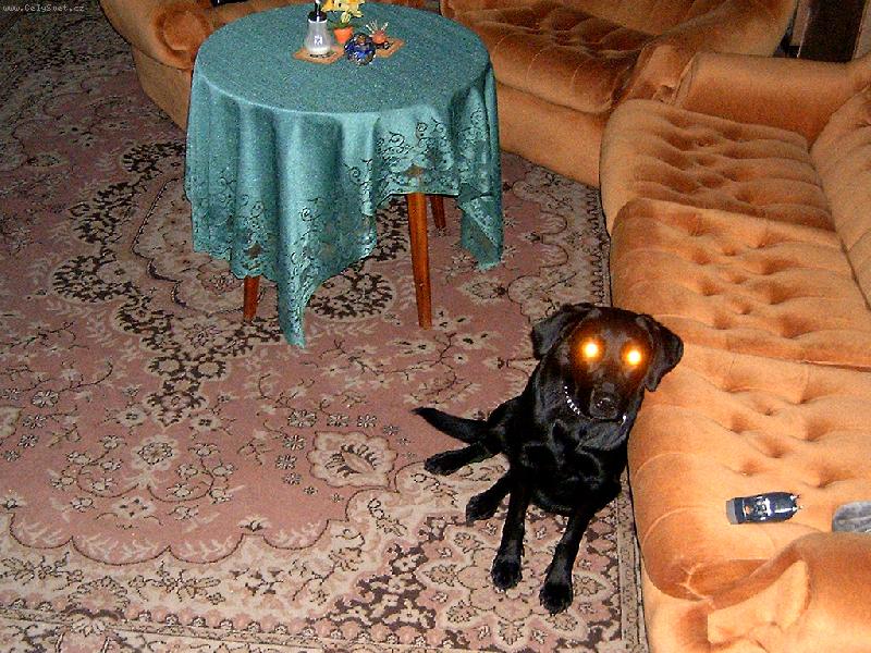 Foto: Lampi�ka-Ide�ln� osv�tlen� pro dom�cnost