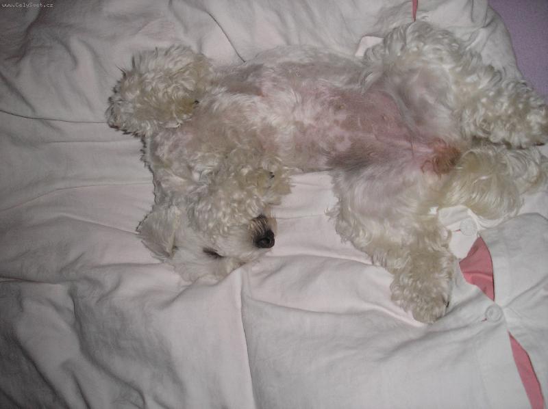 Foto: Tak bych se cht�la tak� m�t-Tvrd� sp�c� S�ra