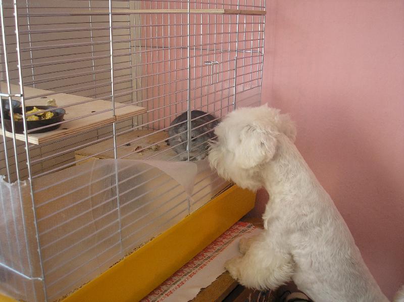 Foto: Cht�la bych t� nav�t�vit.Pust� m� d�l?-M�m t� r�da