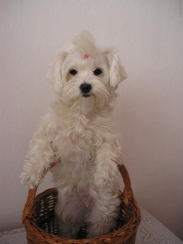 Foto: Peggy-Poj�me na houby