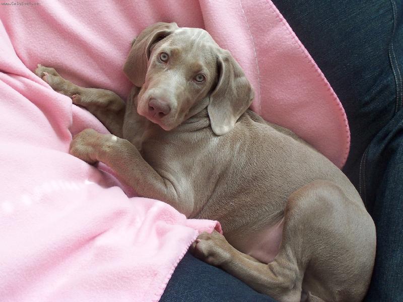 Foto: Charlota-R��ovou m�m nejrad�ji