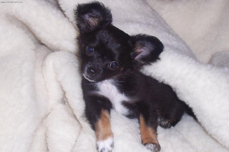 Foto: Mia-zachumlan�