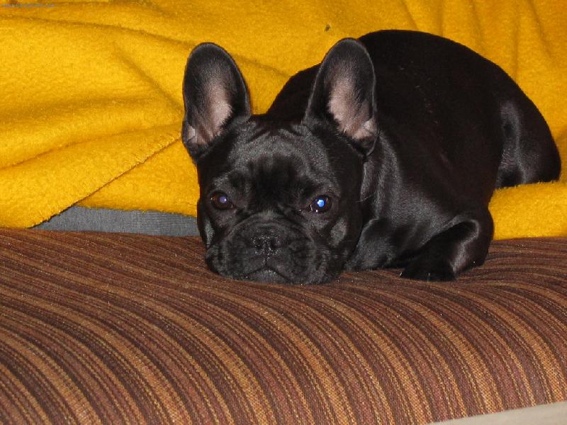 Foto: Barunka leno��