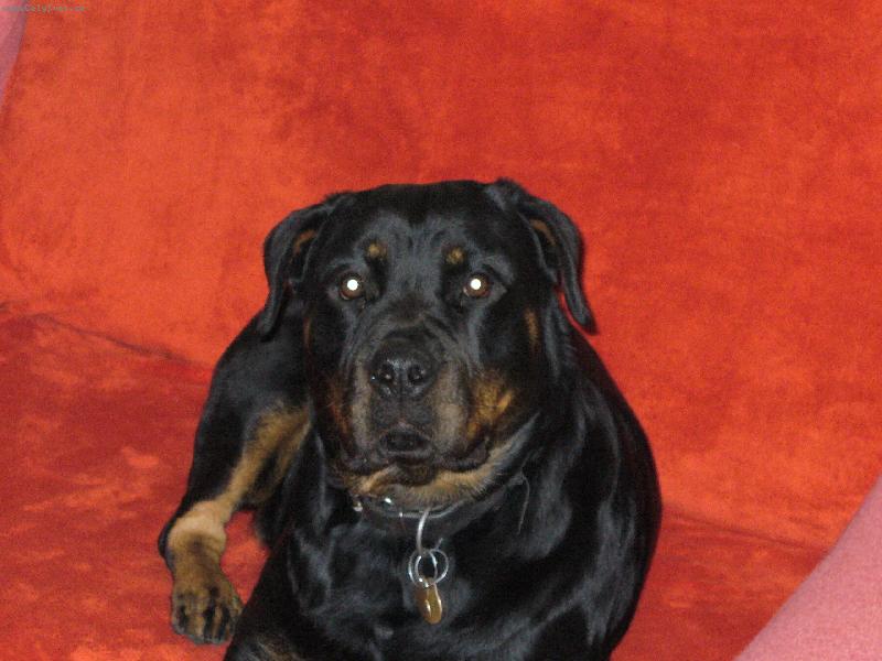 Foto: Nellynka si lebed� na seda�ce-M����� se mi tu l�b�!!!!!!!!!!!!!