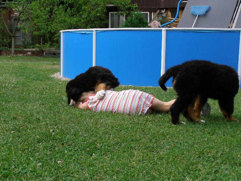 Foto: Uli�n�ci-Ty j� kousej do hlavy a j� budu do nohou