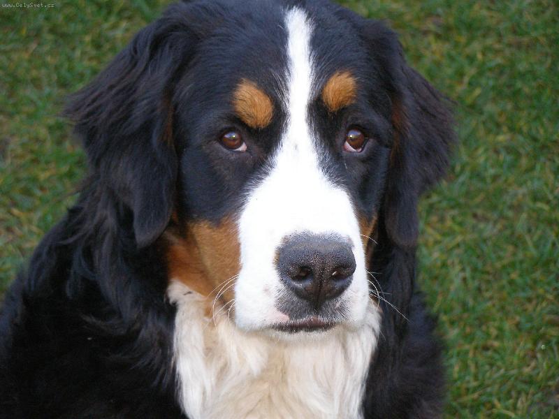 Foto: El-Npo nen� to nejkr�sn�j�� pohled?.......