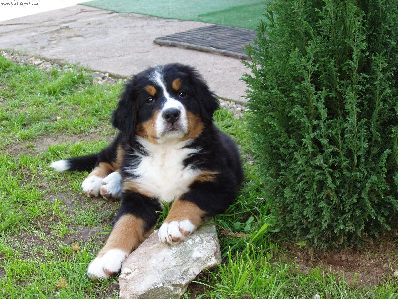 Foto: Eli�ka-prvn� den v nov�m domov�