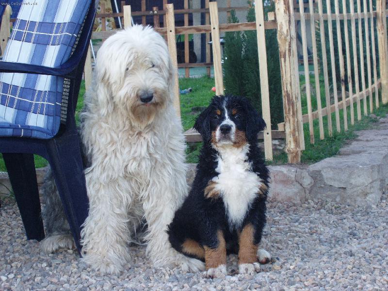 Foto: "MALEJ A VELKEJ..."