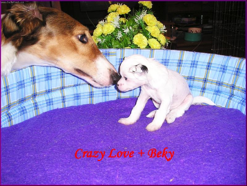 Foto: Kamar�di-J� se chci taky kamar�dit!