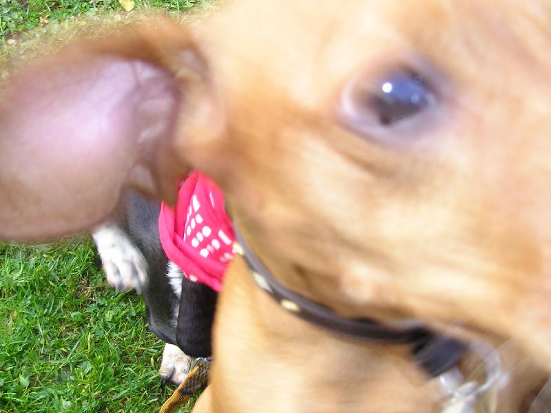 Foto: ...co to m� ta pani�ka v ruce?