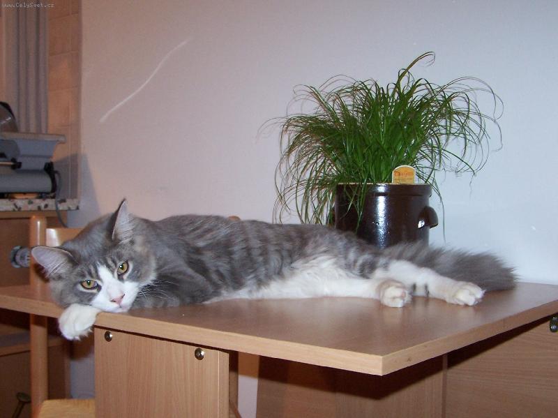 Foto: Casper pohod��