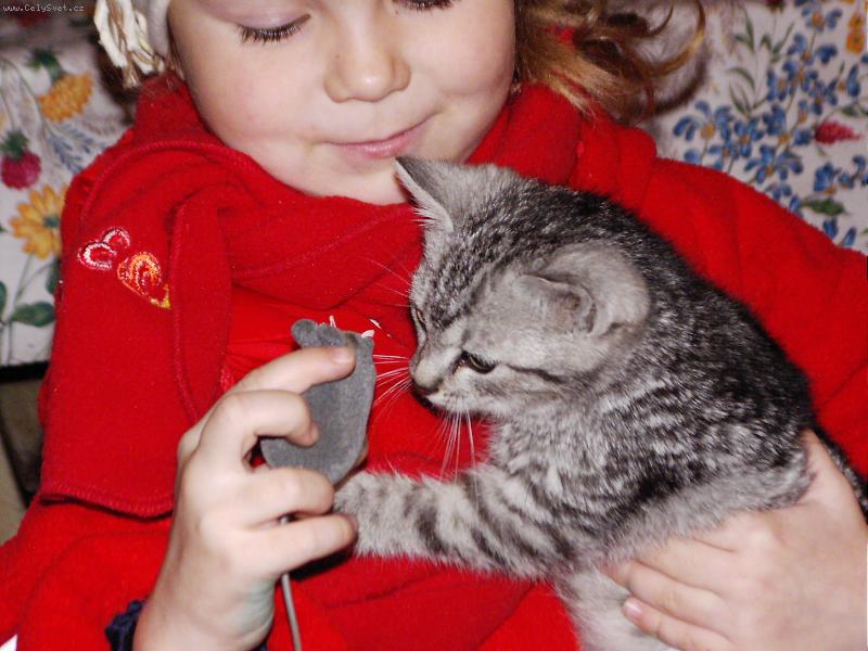 Foto: D� si my�ku???