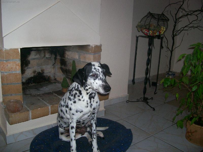 Foto: Mu�j mil�eek-na�e modelka...:)Ad�lka je supeeer