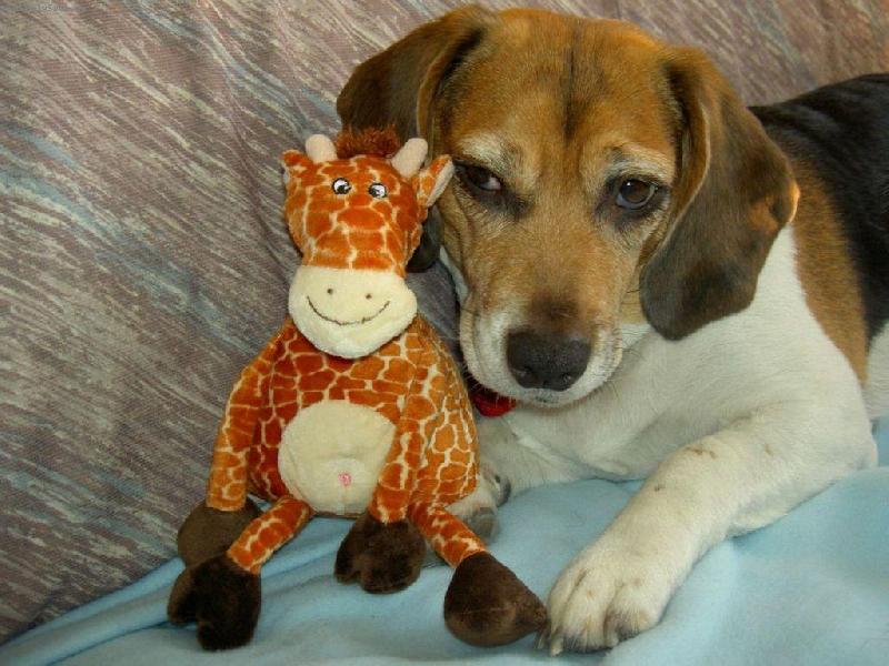 Foto: tak tuhle kost dneska zbal�m...