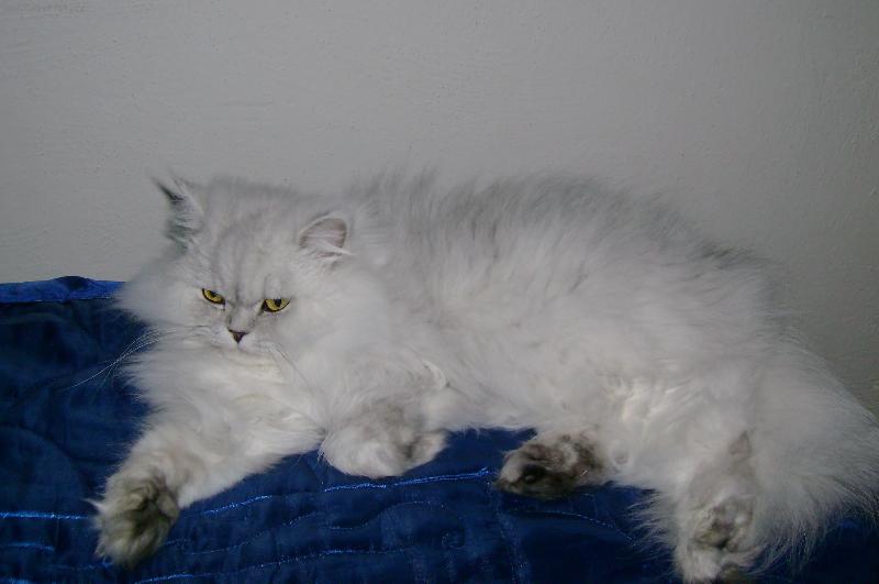 Foto: Pohod��ka-N� v��n� sp��.