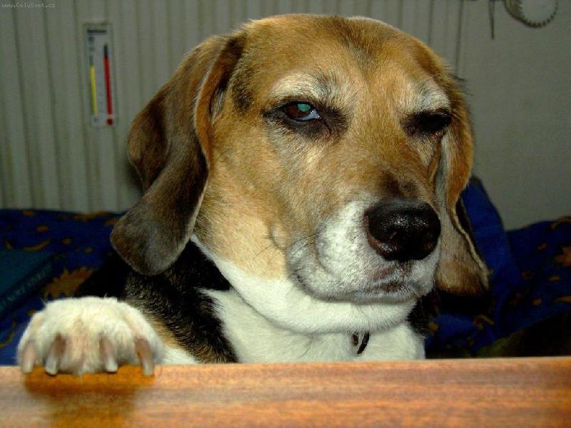 Foto: a kdo je tady nejv�t�� dr�a�ka???!