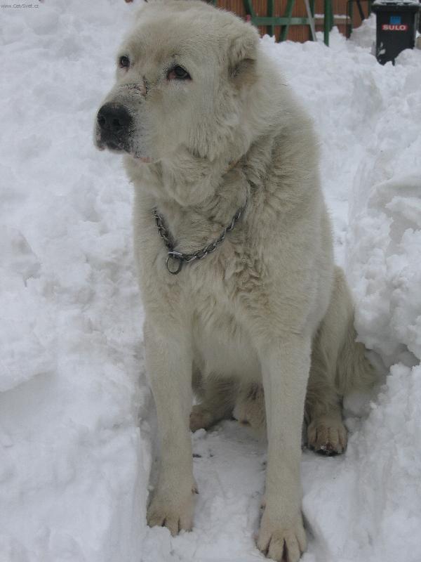 Foto: sice d�dula,ale po��d je�t� �vih�k..