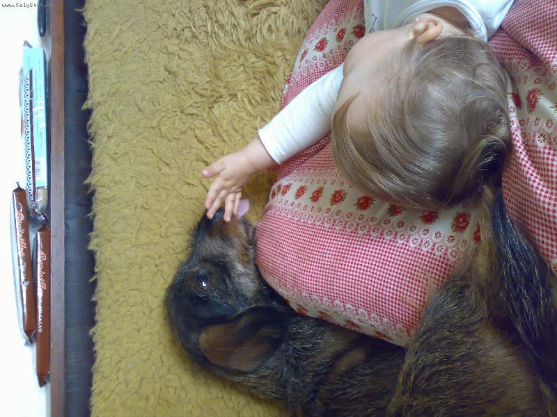 Foto: Aki-sn�m ti ruku