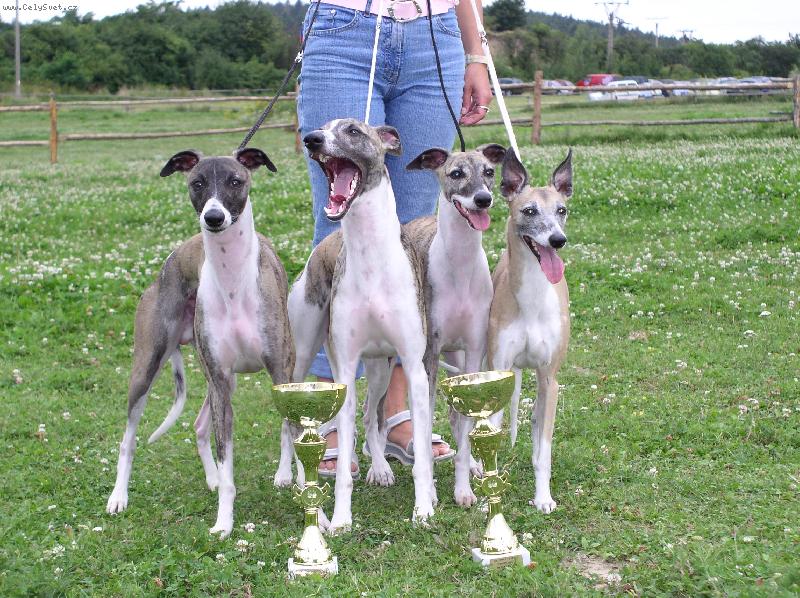 Foto: Keny Bady a Lency z chov. stanice Petula-Vera-A m�m to v kapse!