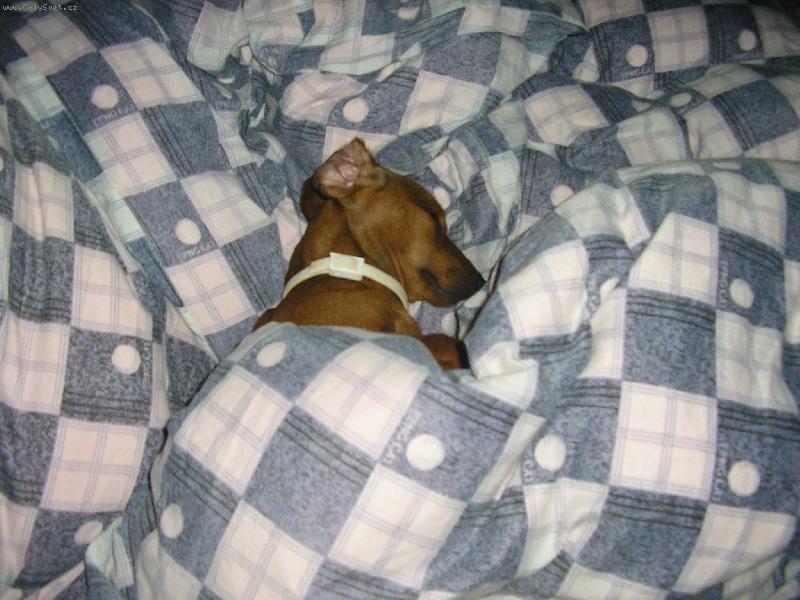 Foto: Bar�a-Barunka na dovolen�