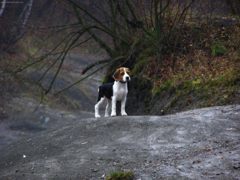 Foto: majla-majla na proch�zce